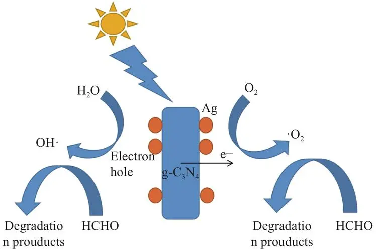 光降解與生物降解塑料袋的區(qū)別