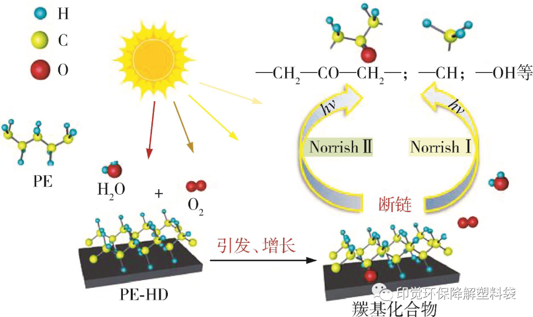 光氧、淀粉基與全生物降解的差異之處(圖1)